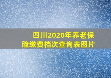 四川2020年养老保险缴费档次查询表图片