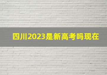 四川2023是新高考吗现在