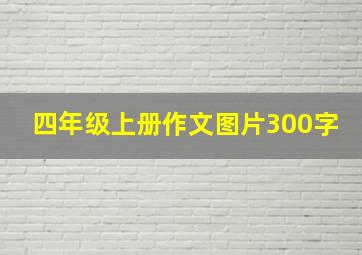 四年级上册作文图片300字