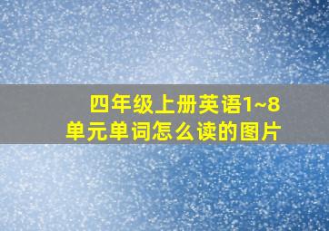 四年级上册英语1~8单元单词怎么读的图片