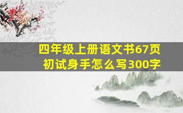 四年级上册语文书67页初试身手怎么写300字