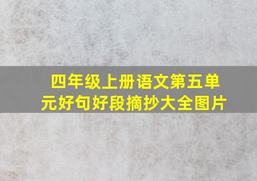 四年级上册语文第五单元好句好段摘抄大全图片