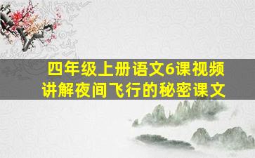 四年级上册语文6课视频讲解夜间飞行的秘密课文