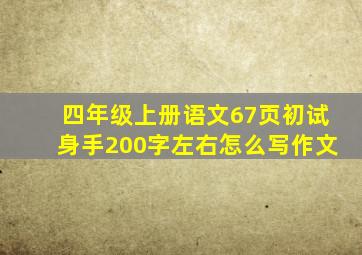 四年级上册语文67页初试身手200字左右怎么写作文