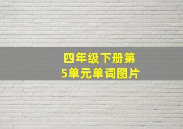 四年级下册第5单元单词图片