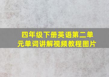 四年级下册英语第二单元单词讲解视频教程图片