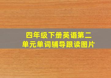 四年级下册英语第二单元单词辅导跟读图片