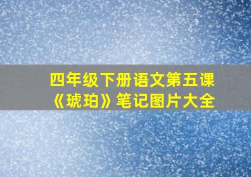 四年级下册语文第五课《琥珀》笔记图片大全