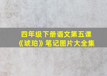 四年级下册语文第五课《琥珀》笔记图片大全集