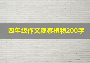 四年级作文观察植物200字