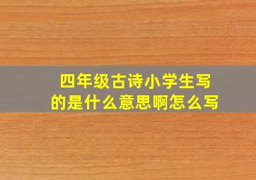 四年级古诗小学生写的是什么意思啊怎么写