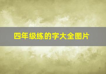 四年级练的字大全图片