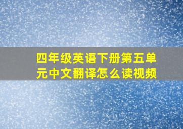 四年级英语下册第五单元中文翻译怎么读视频