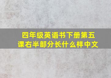 四年级英语书下册第五课右半部分长什么样中文