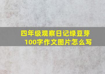 四年级观察日记绿豆芽100字作文图片怎么写