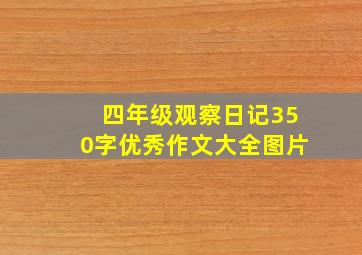 四年级观察日记350字优秀作文大全图片