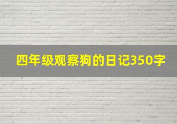 四年级观察狗的日记350字