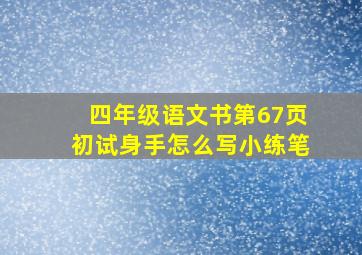 四年级语文书第67页初试身手怎么写小练笔