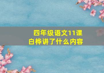 四年级语文11课白桦讲了什么内容