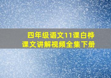 四年级语文11课白桦课文讲解视频全集下册