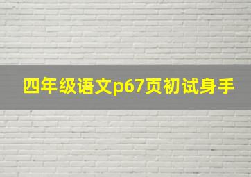 四年级语文p67页初试身手