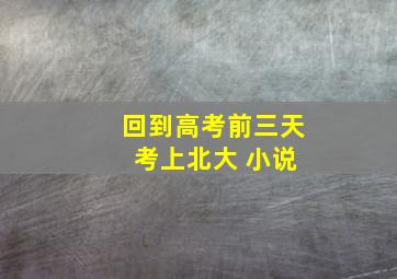 回到高考前三天 考上北大 小说