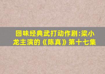 回味经典武打动作剧:梁小龙主演的《陈真》第十七集