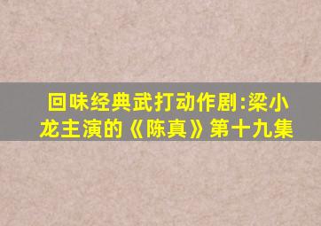 回味经典武打动作剧:梁小龙主演的《陈真》第十九集