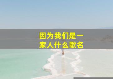 因为我们是一家人什么歌名