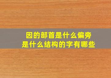 因的部首是什么偏旁是什么结构的字有哪些