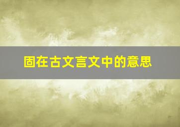 固在古文言文中的意思