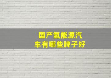 国产氢能源汽车有哪些牌子好