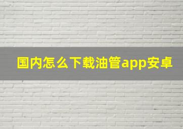 国内怎么下载油管app安卓