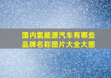 国内氢能源汽车有哪些品牌名称图片大全大图