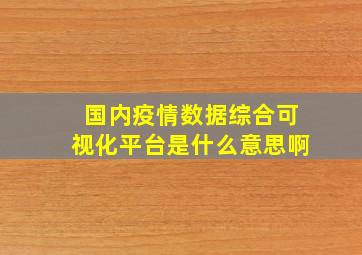 国内疫情数据综合可视化平台是什么意思啊