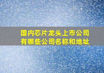 国内芯片龙头上市公司有哪些公司名称和地址