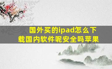 国外买的ipad怎么下载国内软件呢安全吗苹果