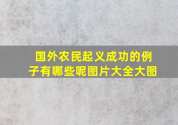 国外农民起义成功的例子有哪些呢图片大全大图