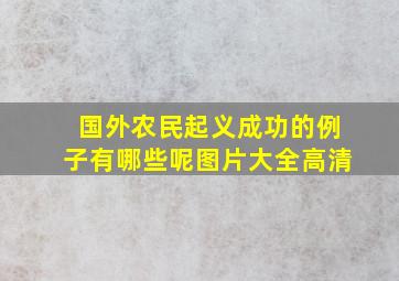 国外农民起义成功的例子有哪些呢图片大全高清