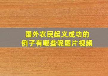 国外农民起义成功的例子有哪些呢图片视频