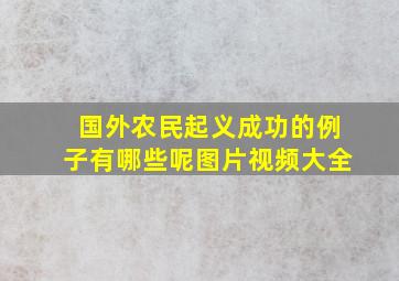 国外农民起义成功的例子有哪些呢图片视频大全