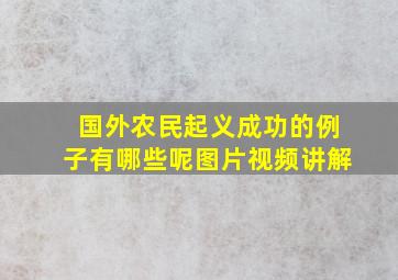 国外农民起义成功的例子有哪些呢图片视频讲解