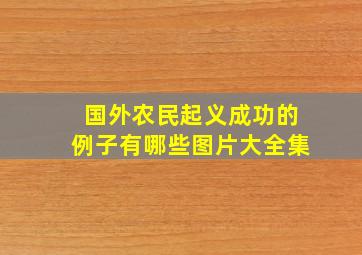 国外农民起义成功的例子有哪些图片大全集