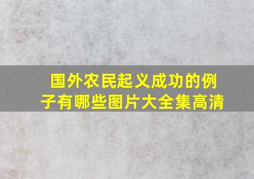 国外农民起义成功的例子有哪些图片大全集高清