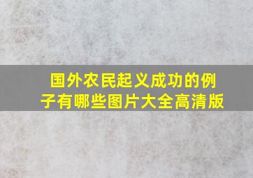 国外农民起义成功的例子有哪些图片大全高清版