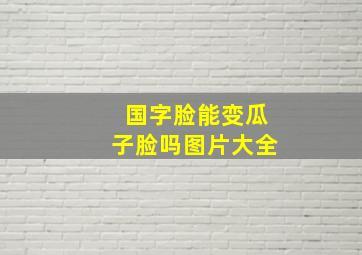 国字脸能变瓜子脸吗图片大全