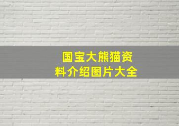 国宝大熊猫资料介绍图片大全