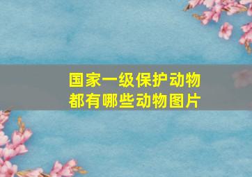 国家一级保护动物都有哪些动物图片