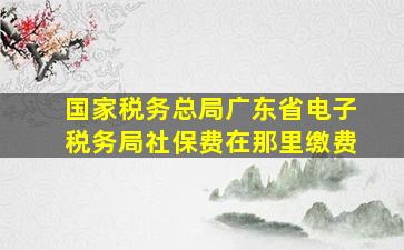 国家税务总局广东省电子税务局社保费在那里缴费