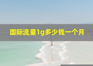 国际流量1g多少钱一个月